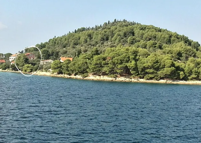 Pilatus Osljak * بريكو