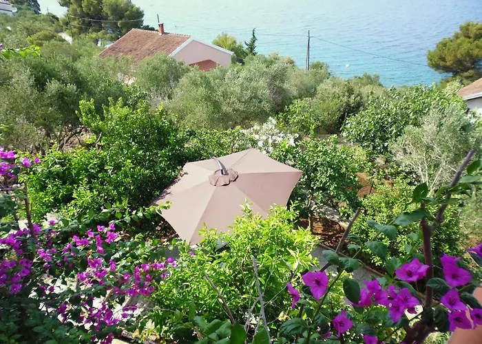 Pilatus Osljak Apartament Preko