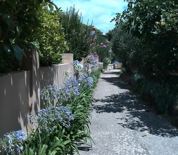 Pilatus Osljak Preko