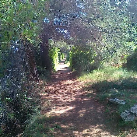 Pilatus Osljak Appartement Preko