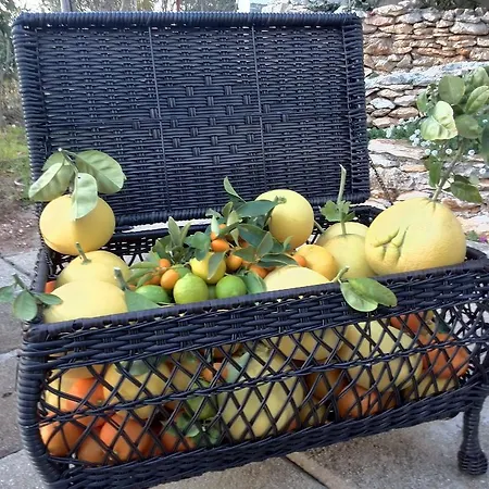 아파트 Pilatus Osljak 프레코