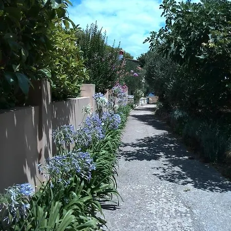 Pilatus Osljak 프레코