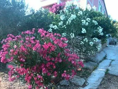 Appartement Pilatus Osljak Preko