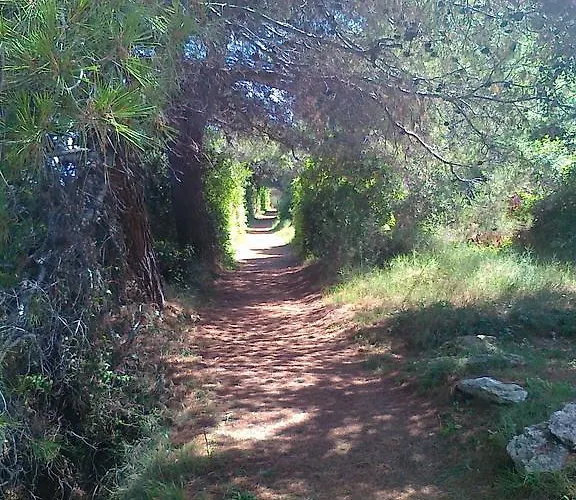 Pilatus Osljak Apartman Preko