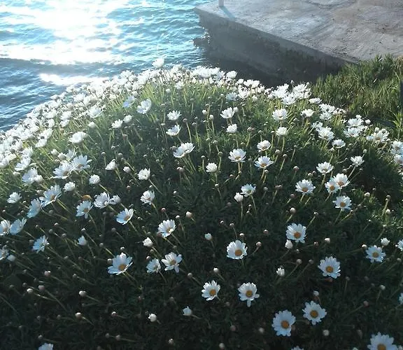 Pilatus Osljak Preko